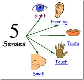 Inspection Reports: Engage Your Senses - InterNACHI