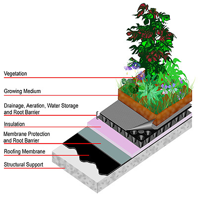 Green Roof Inspection - InterNACHI